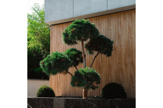 Foam Siding KERRAFRONT | Eurocyd